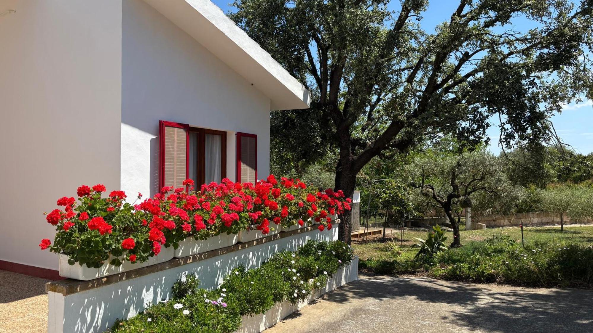 Finca Sa Cova De Mallorca Sencelles Exterior photo