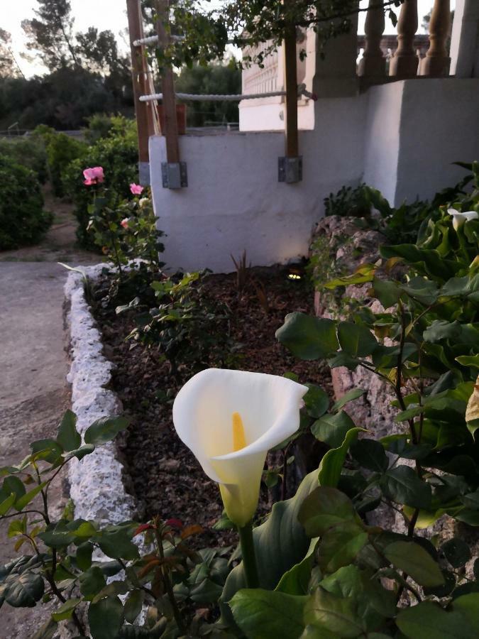 Finca Sa Cova De Mallorca Sencelles Exterior photo